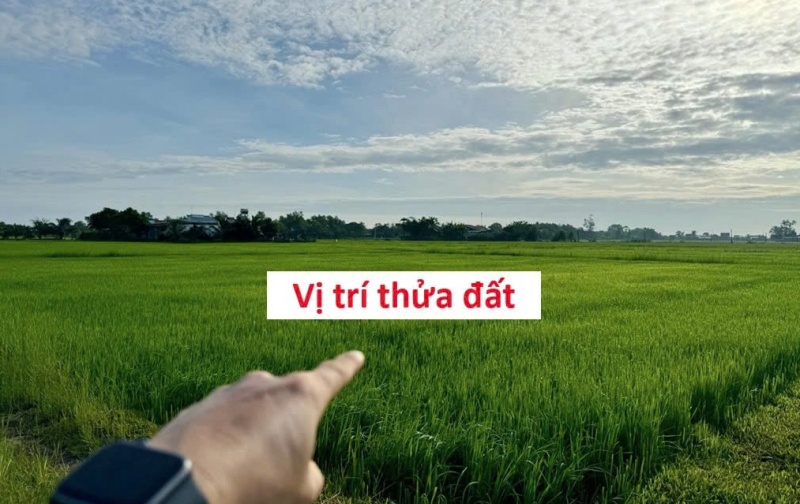 BÁN ĐẤT CHÍNH CHỦ KHÔNG QUA MÔI GIỚI, CẦN RA GẤP GIÁ TỐT